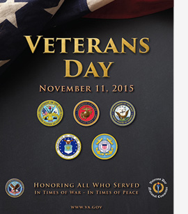 Veterans Day Poster, flag and seals of the military branches